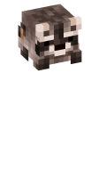 Skinfile