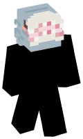 Skinfile