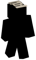 Skinfile