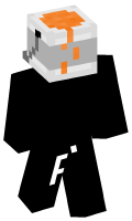 Skinfile