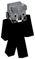 Skinfile
