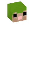 Skinfile