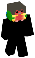 Skinfile