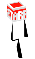 Skinfile