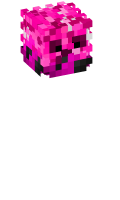 Skinfile