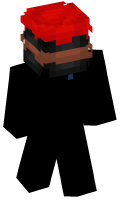 Skinfile