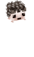 Skinfile