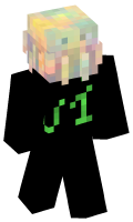 Skinfile