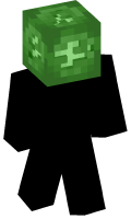 Skinfile