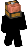 Skinfile