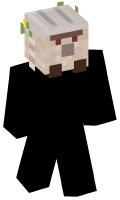 Skinfile