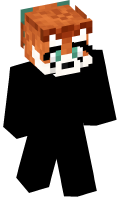 Skinfile