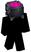 Skinfile