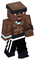 Skinfile