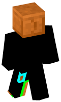Skinfile