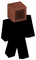 Skinfile