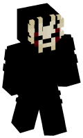 Skinfile
