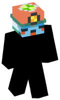 Skinfile