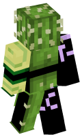 Skinfile