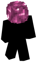 Skinfile