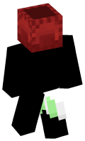 Skinfile