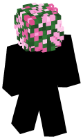 Skinfile