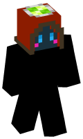 Skinfile