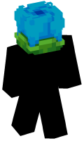 Skinfile