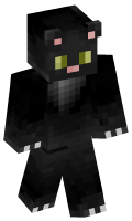Skinfile