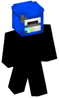 Skinfile