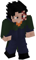 Skinfile