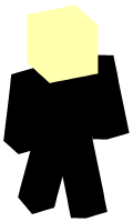 Skinfile