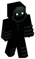 Skinfile