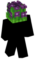 Skinfile