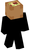 Skinfile