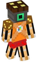 Skinfile
