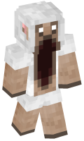 Skinfile