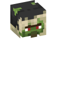 Skinfile