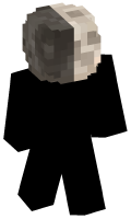 Skinfile