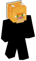 Skinfile