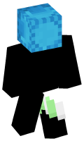 Skinfile