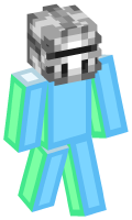 Skinfile