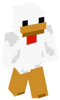 Skinfile