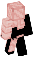 Skinfile
