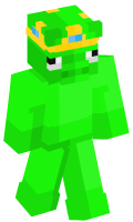 Skinfile