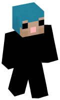 Skinfile