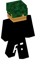 Skinfile