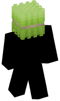 Skinfile