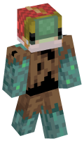 Skinfile