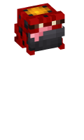 Skinfile